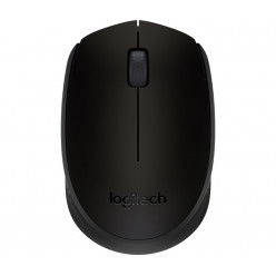 Оптическая мышь для ноутбука Logitech M171, беспроводная, черная, с наноприемником, для розничной продажи